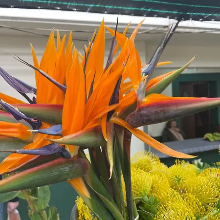 Villa-kasia Ocean View Lägenhet