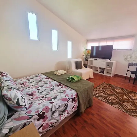 Apartment Villa-kasia Ocean View *